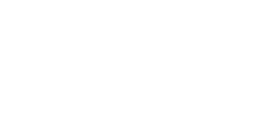 Festool